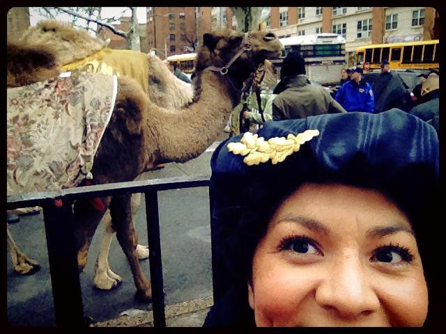 aurora with camel