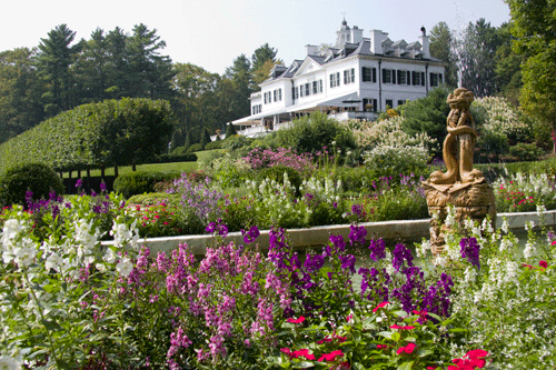 The Mount