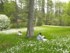 Berkshire Writing Workshop