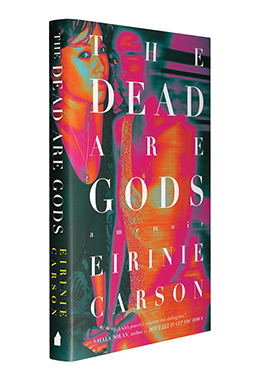 A photo of the hardcover edition of The Dead are Gods.