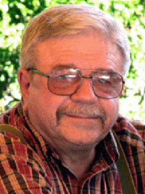 Lewis turco felix stefanile essay 03 image