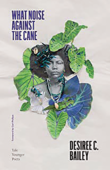 What Noise Against the Cane by Desiree C. Bailey