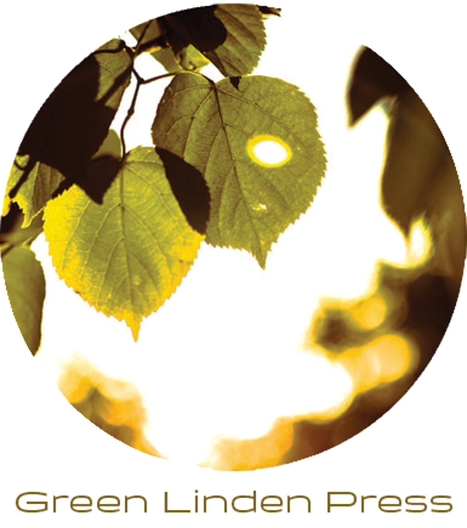 Logo composed of a circular photo of backlit tree leaves and the press name below it