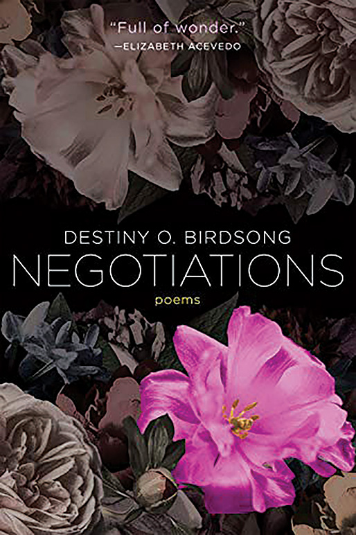 Negotiations by Destiny O. Birdsong