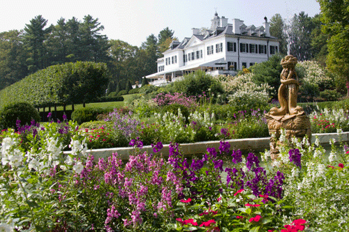 The Mount