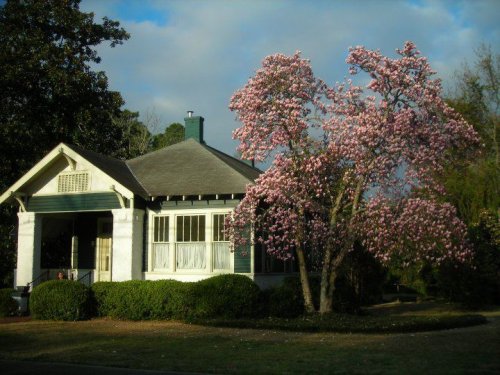 The Carson McCullers Center