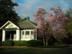 The Carson McCullers Center