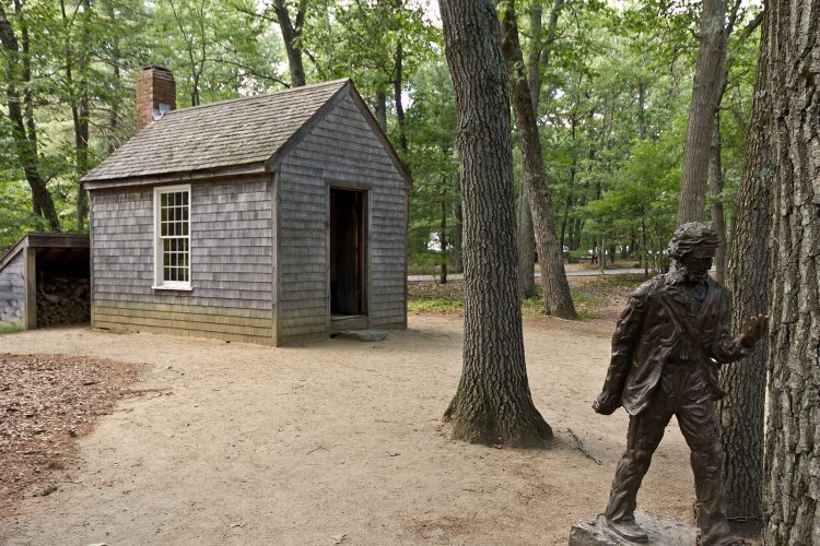 "Replica of Thoreau's cabin near Walden Pond and his statue" by RhythmicQuietude, Wikimedia Commons, CC 3.0 (https://en.m.wikipedia.org/wiki/File:Replica_of_Thoreau%27s_cabin_near_Walden_Pond_and_his_statue.jpg)