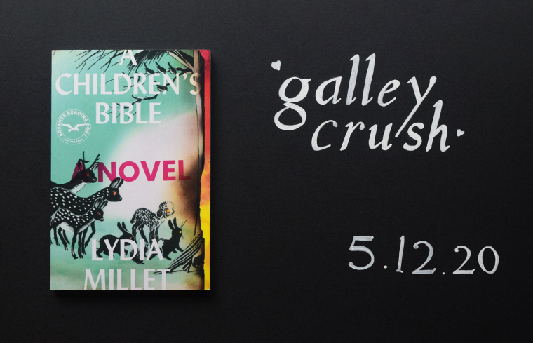 Galleycrush A Children S Bible Poets Writers