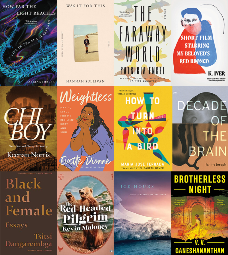 First lines of popular books