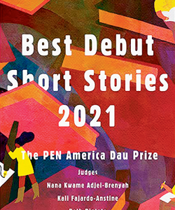 Best Debut Short Stories Cover