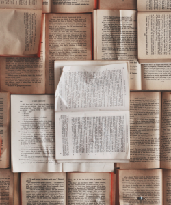 A dozen or so books lie open and are arranged in a grid-like pattern