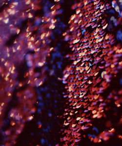 A fabric of purple, pink, and gold sequins glimmers under a cool interior light.