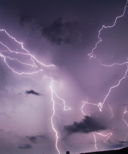 Several bands of lightning crackle above a field; the sky and clouds glow purple.