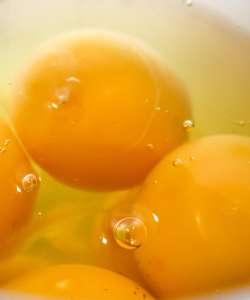 Close-up of a bowl of raw six or so egg yolks and whites. Small bubbles appear on the surface of the eggs.