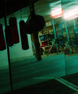 Close-up of the cover of Eloisa Amezcua’s Fighting Is Like a Wife. A single fluorescent light casts a slight glow on an otherwise dark and haunting boxing gym. Punching bags hang from the ceiling.