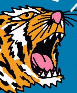 Close-up of the cover of Tomás Q. Morín’s Machete. A simple, but dramatic illustration of a roaring tiger’s head.