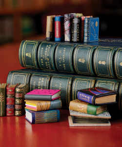 Colorful dollhouse-sized miniature books are arranged with regular-sized books for a sense of scale.
