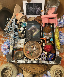 A collection of various items with Misery Islands by January Gill O'Neil featured in the center. Items surrounding the book in a square frame include fake flowers, soda tabs, seashells, buttons, and coral.