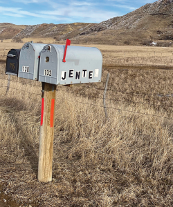 Outdoor photo of three mailboxes on a post by the side of a brown field with mountain in the background