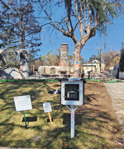 A photo of a Little Free Library standing in front of the remains of a burned building on a sunny day. The shadows of tall trees loom over the whole scene.