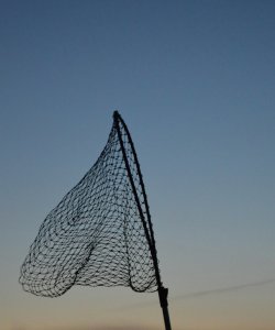Magic Net