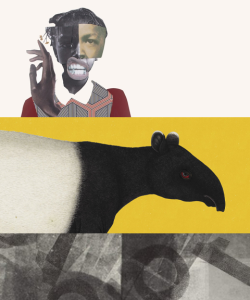 A collage of art from three book covers: At the top, the face of Black child is constructed out of multiple photos; in the middle, an illustrated Malayan tapir appears against a yellow background; the bottom features black-and-white abstract patterns.