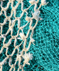 The Time Is Now: Writing Prompts and Exercises A white knotted net laid on top of a teal knotted net. The white net has larger holes and looks more handwoven, while the teal net is a finer mesh grid.