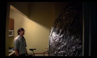 A Big Ball of Foil in a Small NY Apartment: a short film