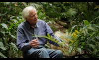 W.S. Merwin: Even Though the Whole World Is Burning