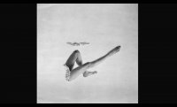 Museum Exhibition /// Kitasono Katue: Surrealist Poet