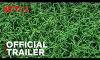 In the Tall Grass | Official Trailer | Netflix