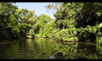 fragile tortuguero trailer