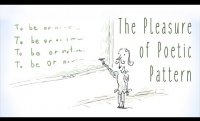 The pleasure of poetic pattern - David Silverstein