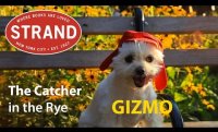 Gizmo's Book Club | Catcher in the Rye