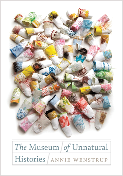 Book cover with title, byline, and photograph of artwork containing small, colorful cloth objects on a white background