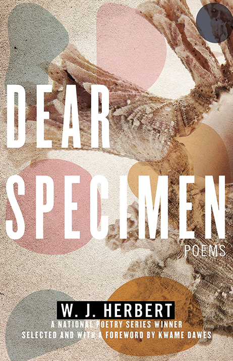 Dear Specimen by W. J. Herbert